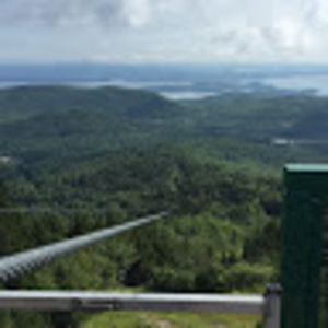 Meet your Posher, 2020aidan